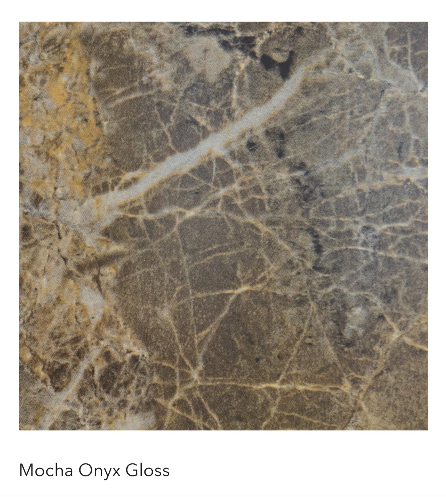 Mocha Onyx Gloss Wall Panels