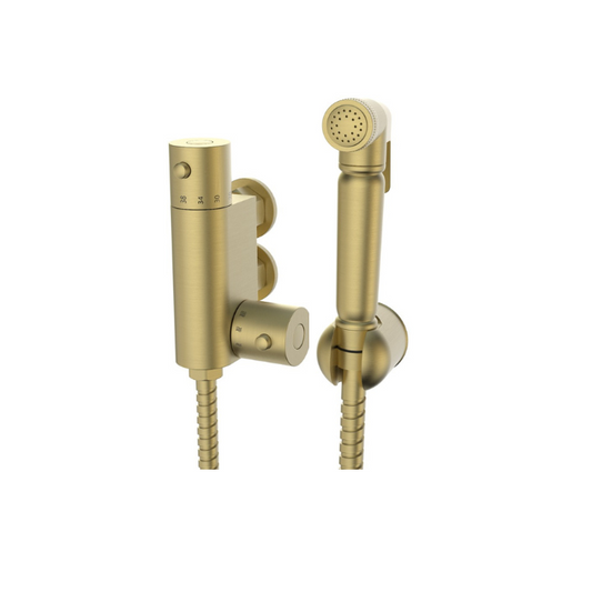 Brushed Brass Douche Thermostatic Mixing Valve and Brass Spray Head