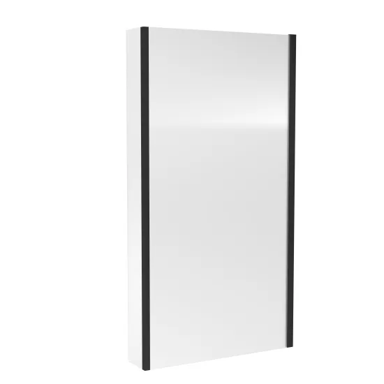 Pacific Black 6mm L-Shape Bath Screens