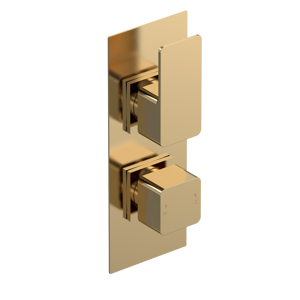 Windon Brushed Brass Square Showers