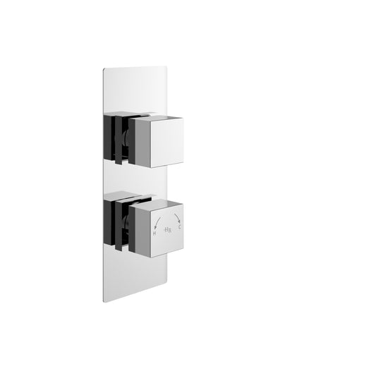 Square Twin Shower Valve W/Diverter