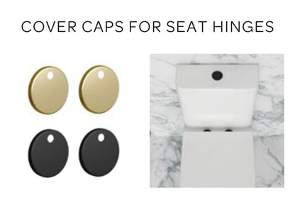 BRUSHED BRASS WASTES & ACCESSORIES